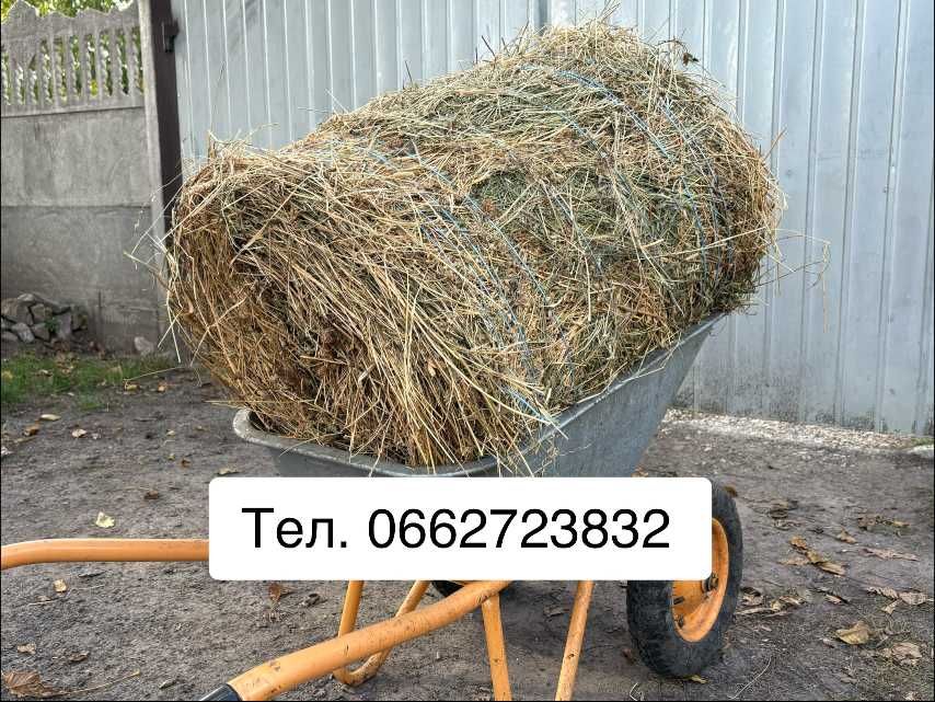 Сіно в тюках лугове 2026