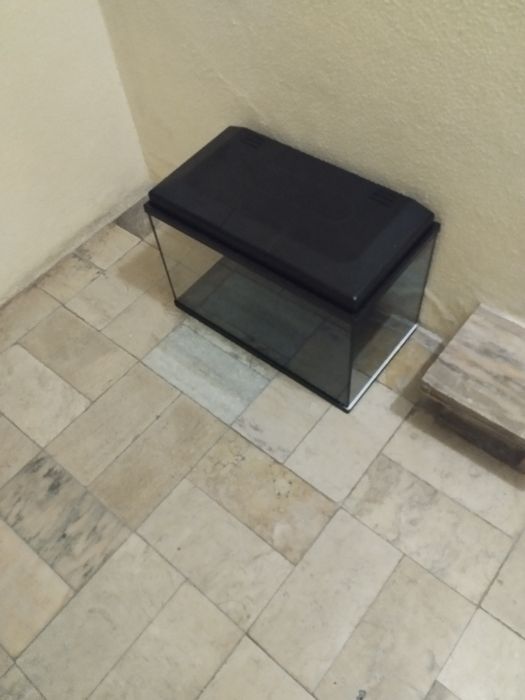 Aquário de 100 Litros