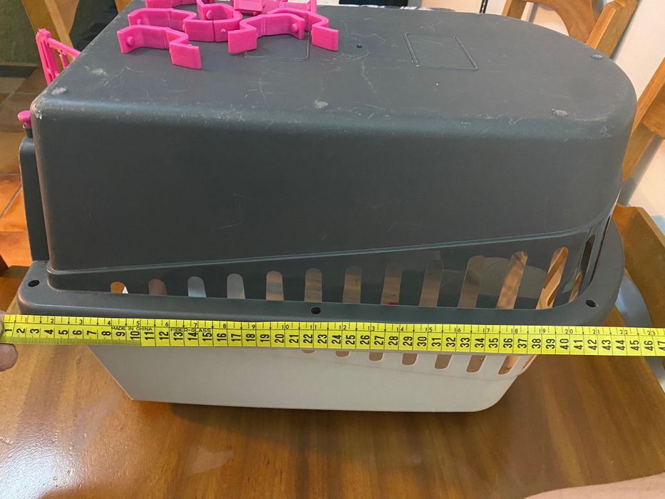 Transportadora animais