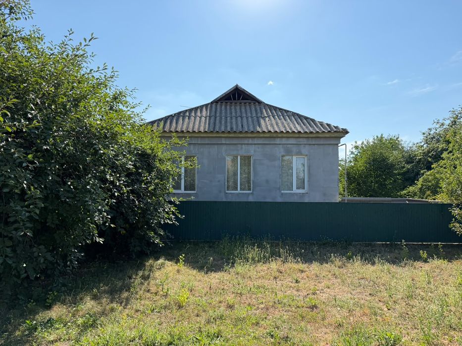 Будинок в селі Дмитрівка