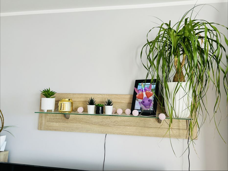 Meblościanka do salonu