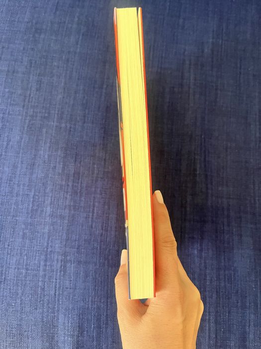 O meu marido - livro