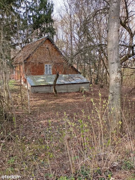 Działka siedliskowa z domem blisko Bugu.