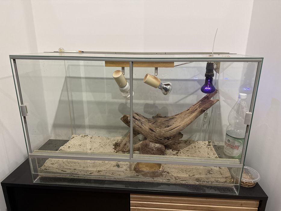 Terarium  z wyposazeniem