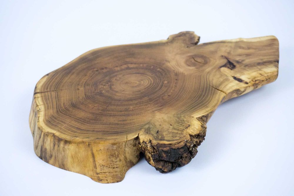 Patera do serwowania z akacji