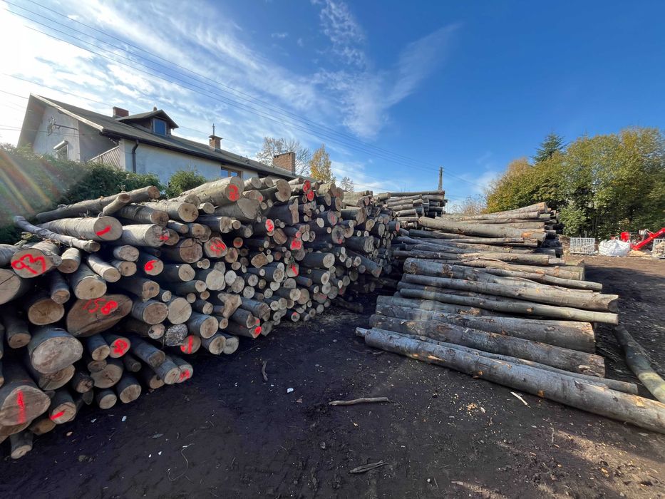 Drewno wałki 2,5m DĄB BUK OLCHA BRZOZA drewno kominkowe kłody stosowe