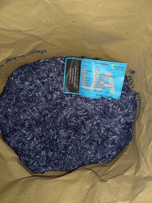 Насіння соняшника НСХ 8005 під гранстар 50г