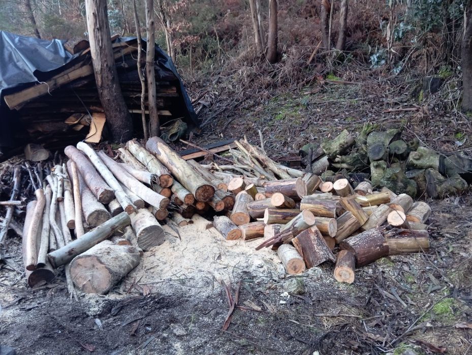 Limpeza de terrenos e venda de lenhas