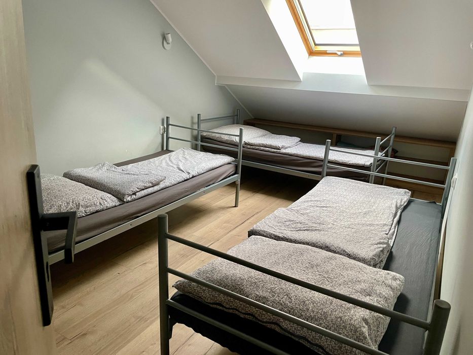 Pokoje / mieszkanie  do wynajeci