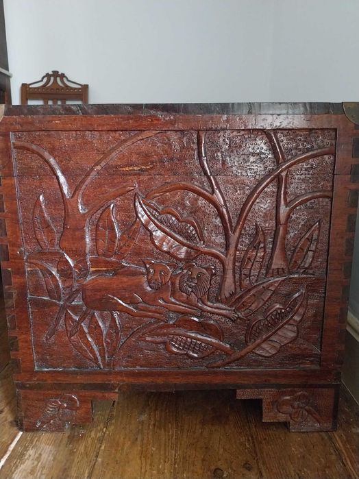 Arca Madeira exótica africana