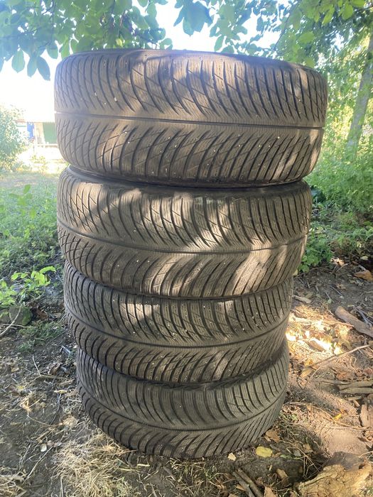 Michelin Pilot Alpin 5