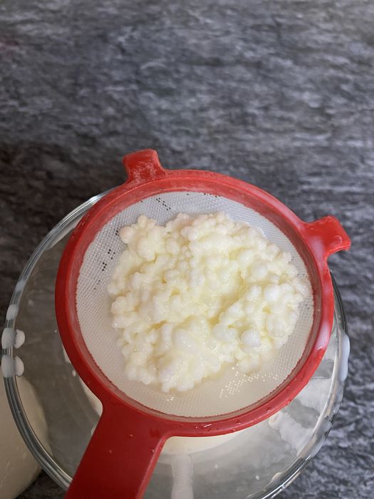 Kefir de leite (seus benefícios)