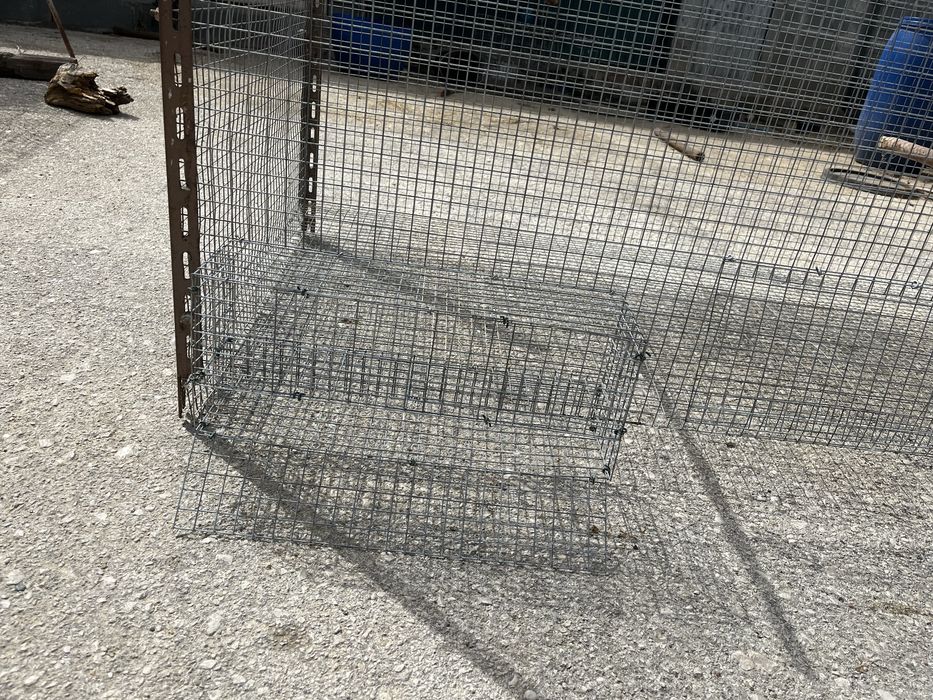 4 viveiros para troca por aves