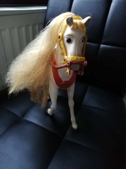Konik, koń mustang dla dzieci