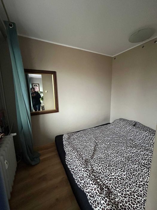 Mieszkanie do wynajęcia