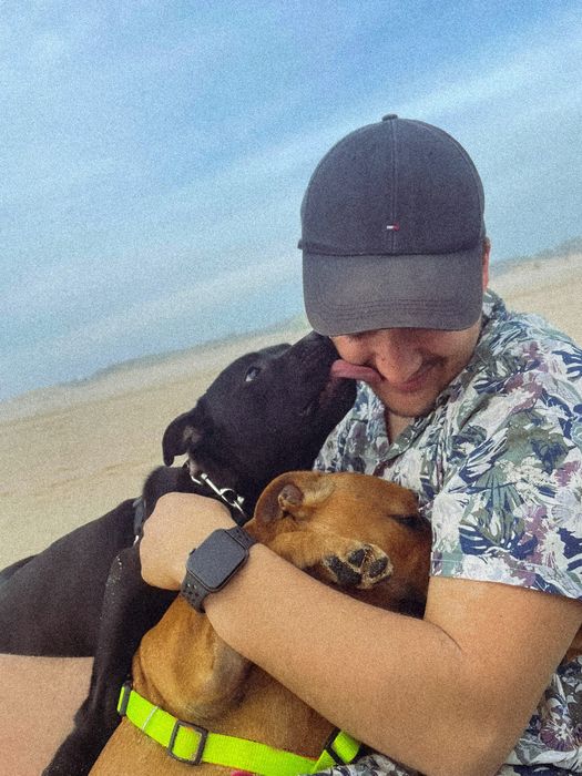 Pet Sitting e Pet Walking — cuidado como se fossem meus