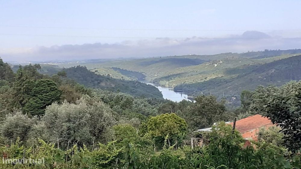 Vistas para o Mondego | 1 Hectare | Ruína em Granito | Um Refúgio de V