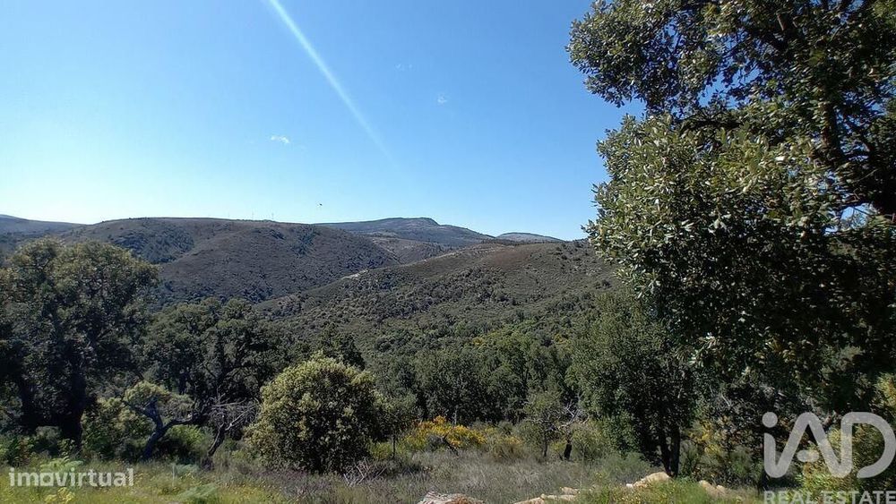 Terreno Agrícola em Mós