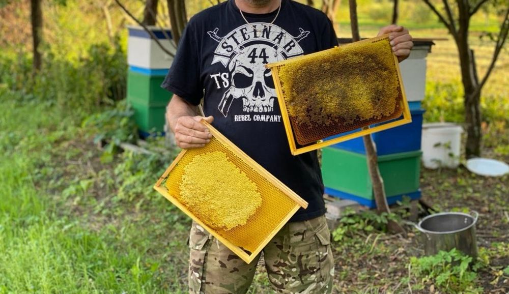 Miód nawłociowy 03.09.2022