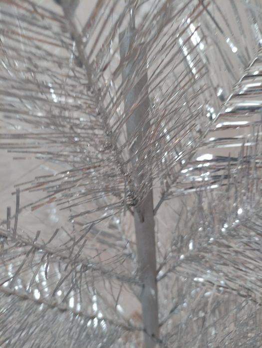 Ялинка срібляста СССР