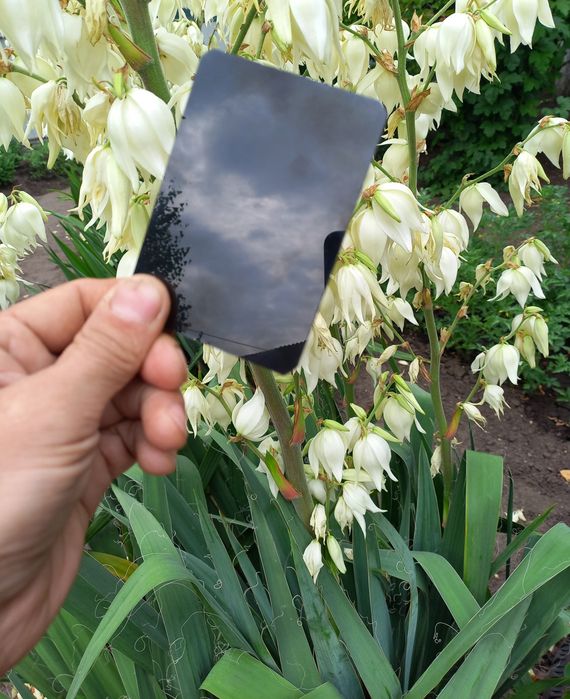 Оргскло у розміри листом Монолитный поликарбонат шматками Оргстекло