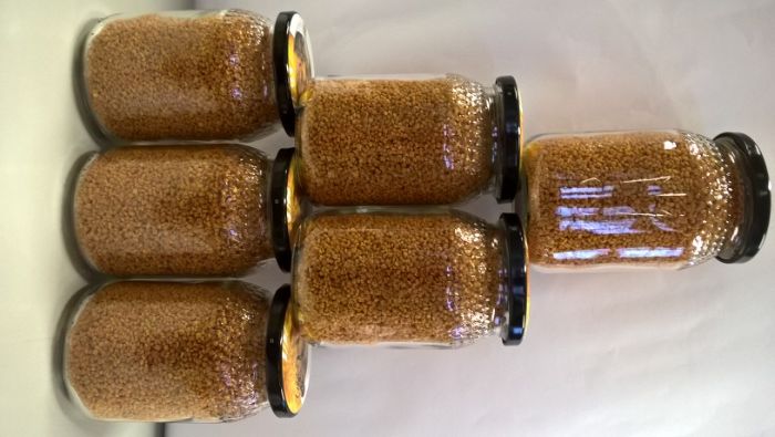 Vendo abelhas, Pólen de abelha, frasco de 230 gramas