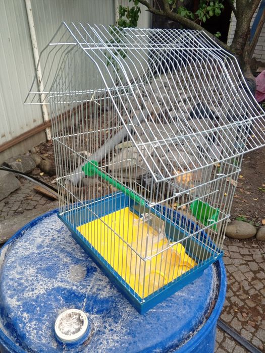 Клітка для папуг