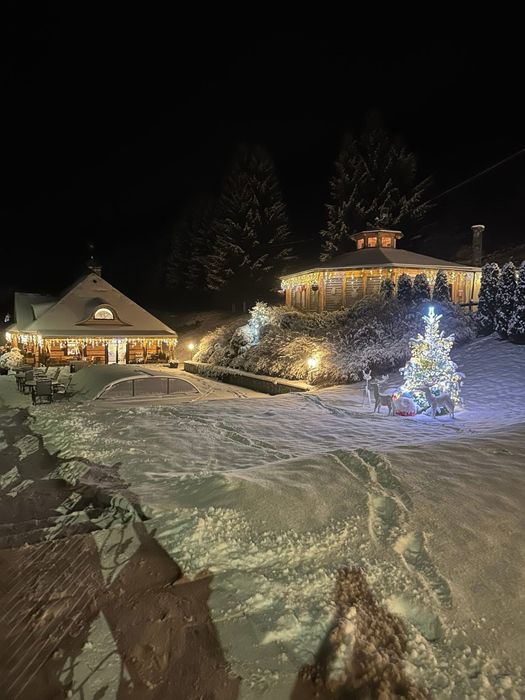 Domy z bali do wynajęcia w Kotlinie Kłodzkiej.