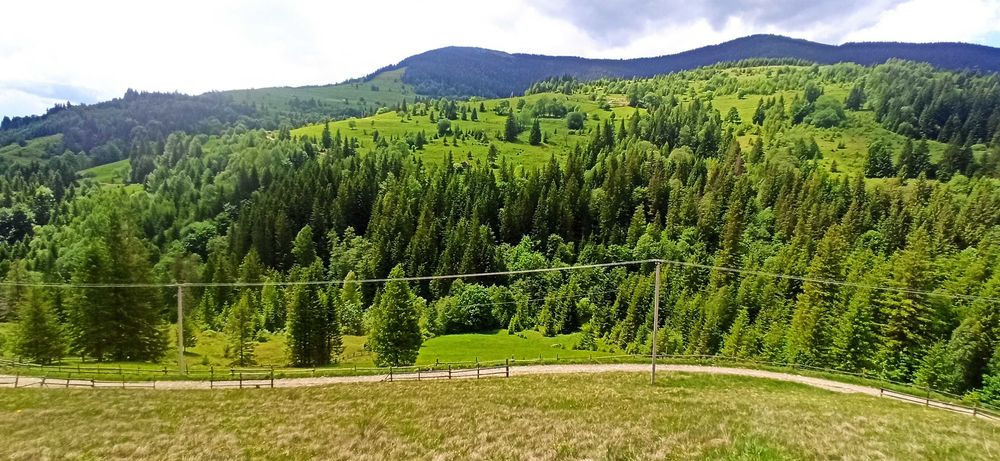 Земельна ділянка