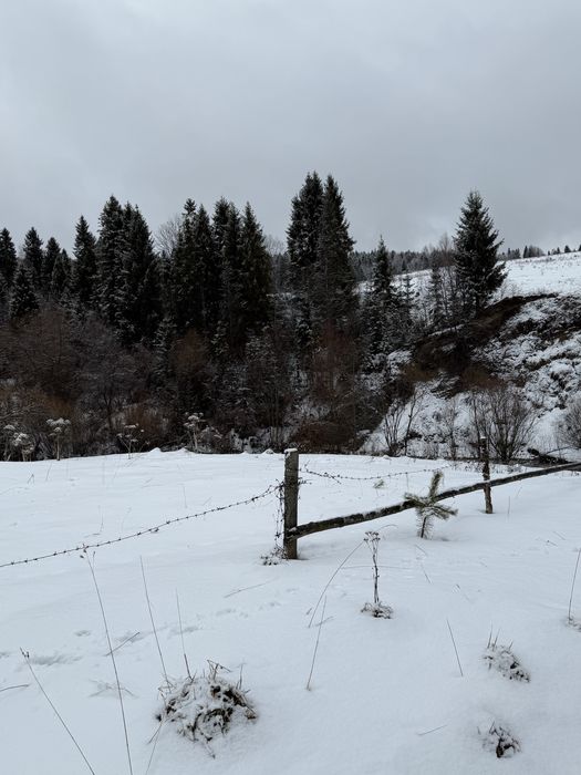 Ділянка в Карпатах  (Західний реабілітаційно - спортивний центр НКСІУ)