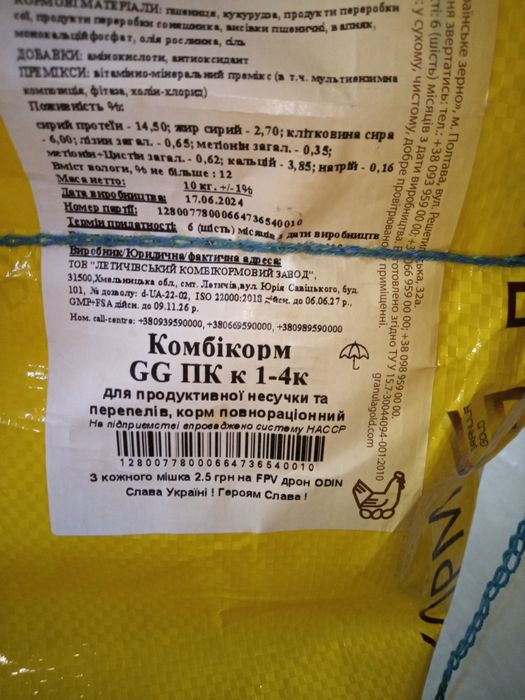 Курка несушка перепілка