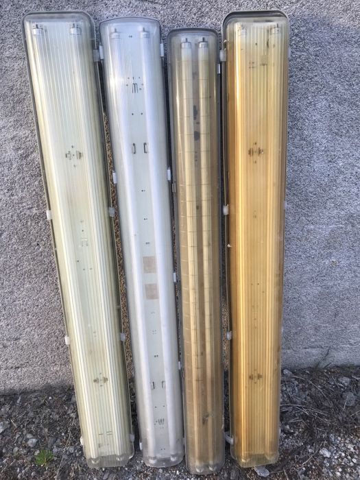 +Лампи денного света Philips Филипс Філіпс