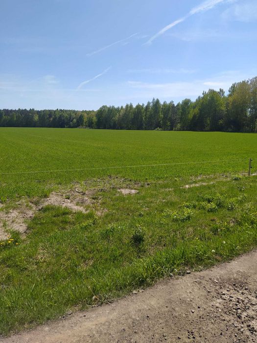 3,616 ha – Lubowidza – przy lesie! Świetna inwestycja! podział możliwy