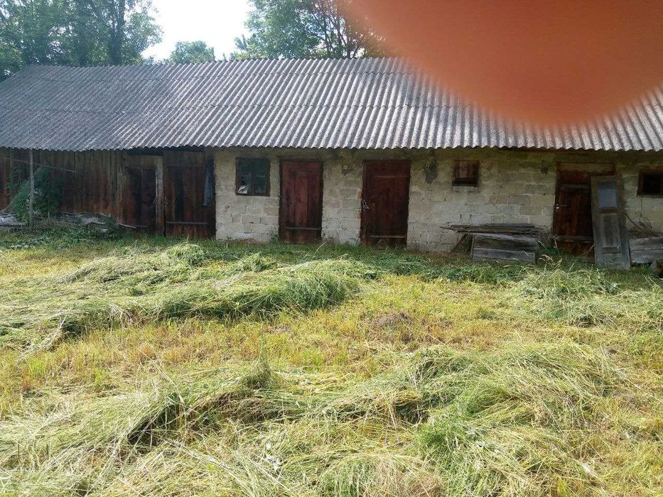 Будинок з земельною ділянкою