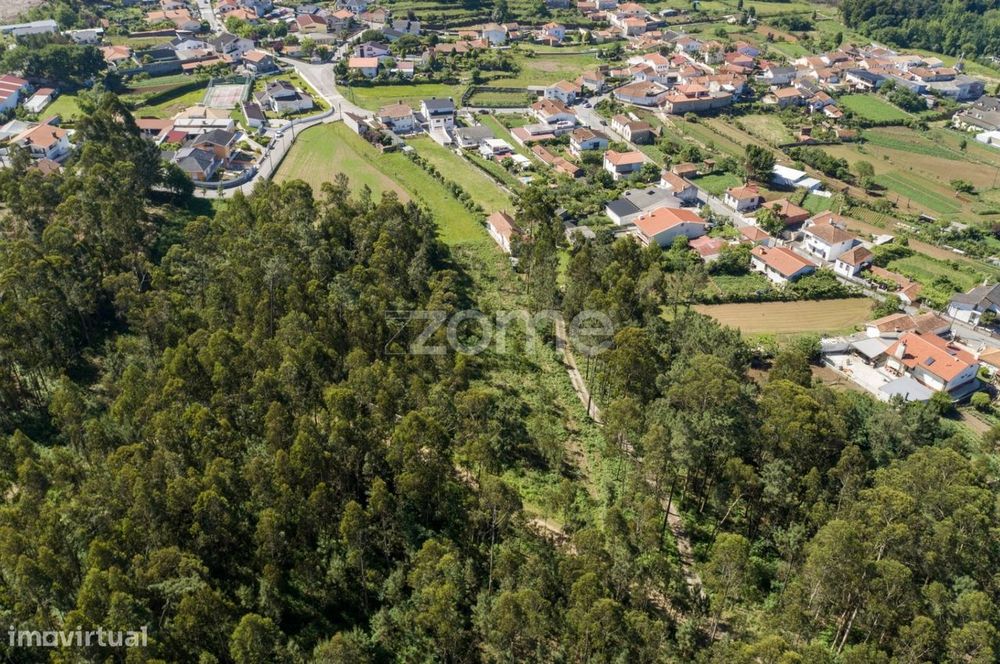 Terreno urbano em Caldas de São Jorge - Área de 3.462 m2