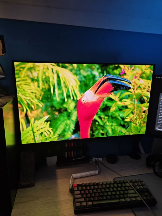 Monitor OLED 4K 165Hz Gigabyte com 2 anos e meio de grantia