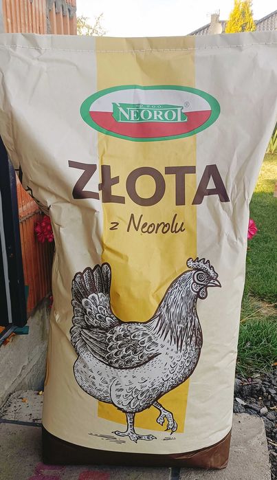 Pasza sypka ZŁOTA dla kur przyzagrodowych