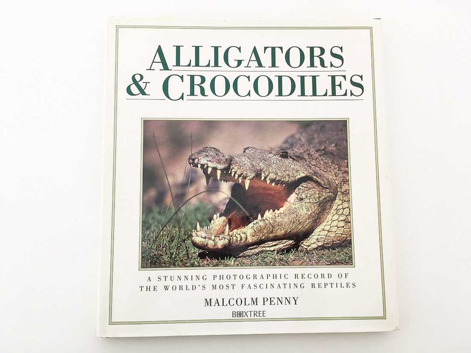 Alligators & Crocodiles