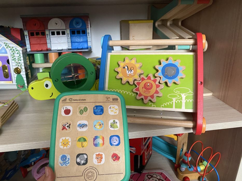 Лот деревʼяних іграшок для розвидку від Hape