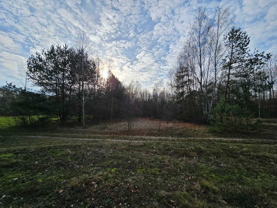 sprzedam działkę rolną