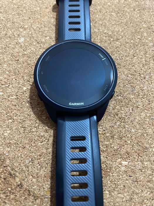 Garmin forerunner 165