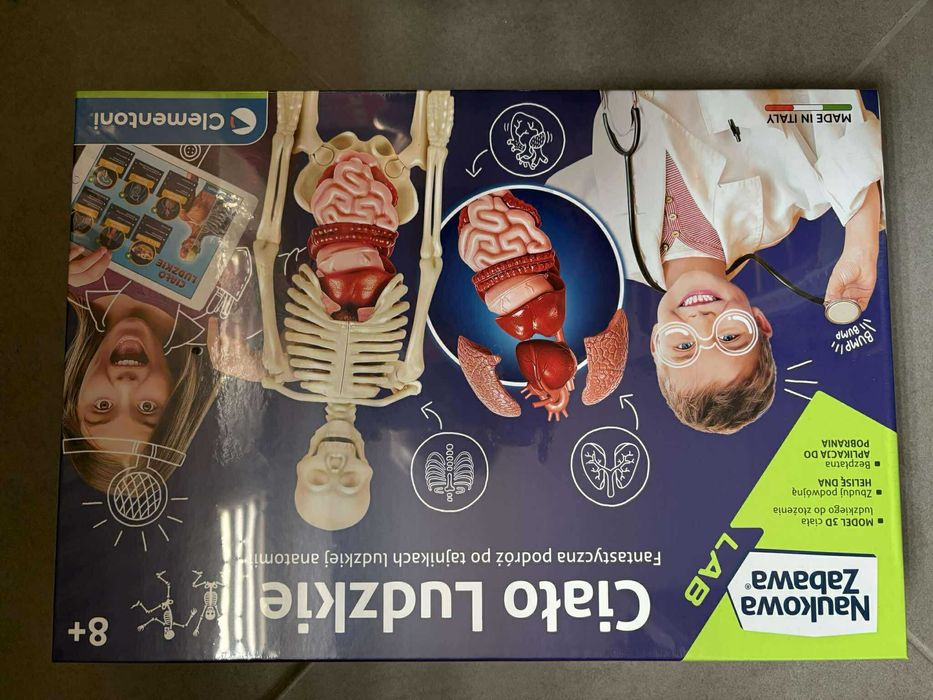 Ciało Ludzkie Człowieka ZESTAW SZKIELET Clementoni