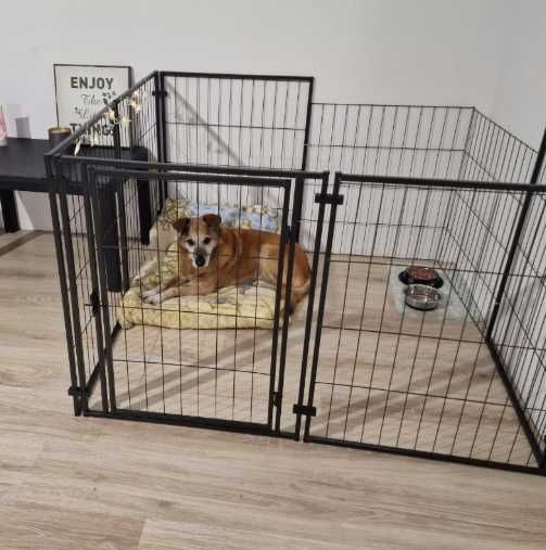 Kojec modułowy Dla Psa NOWY Klatka dla kota królika Metalowy 120x60cm