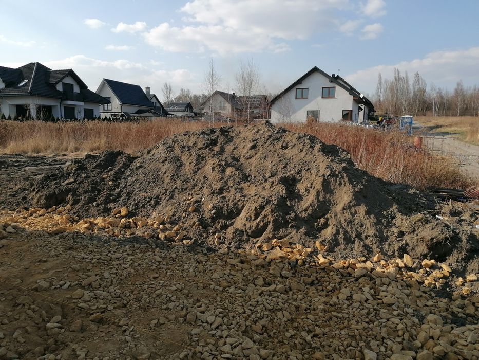 Zamienię dobrą ziemię za kawę