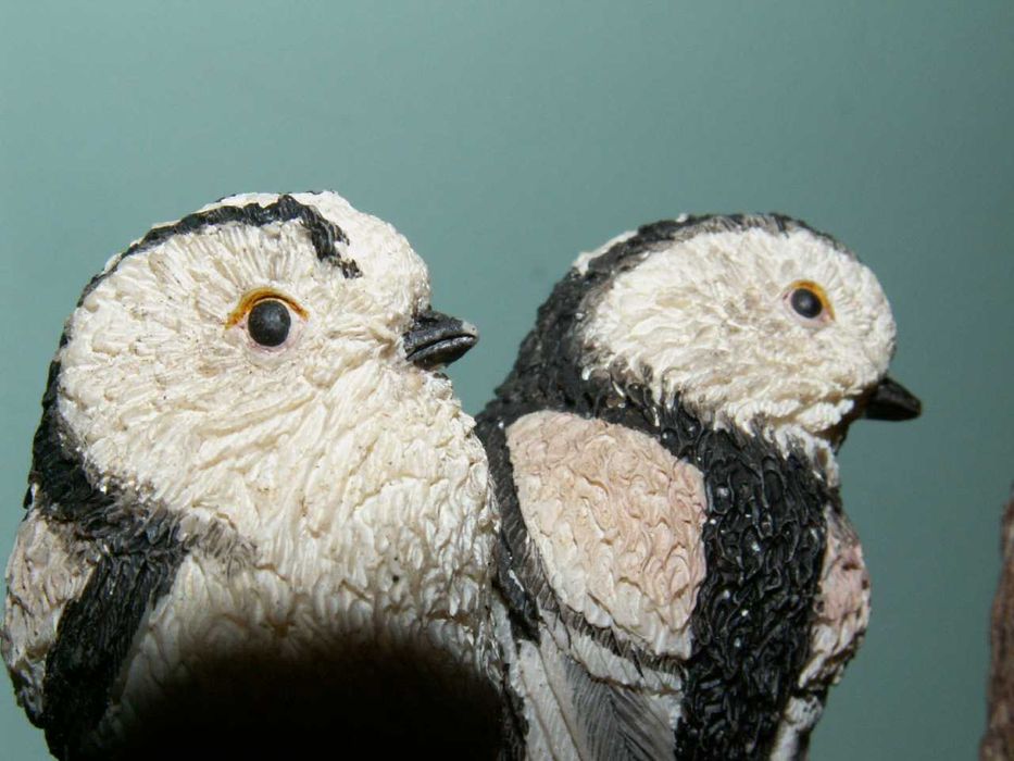 Ptaki - Raniuszek -The Country Bird Collection - Vogelwelt Collection