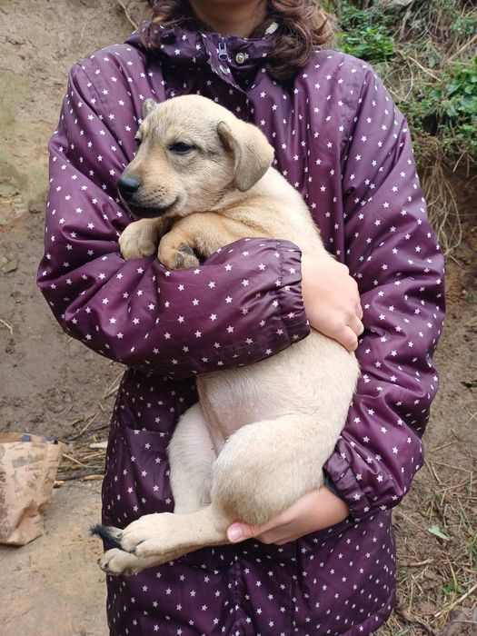SOS!!! Допоможіть отримати сім'ю, дві дівчинки