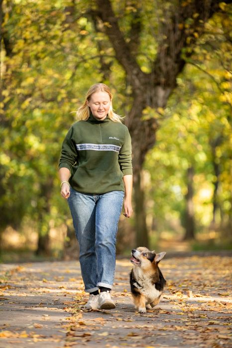 Кінолог Дніпро | Дресирування собак