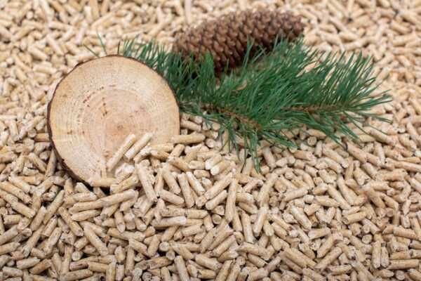 Соснові Пелети. Преміум клас А1