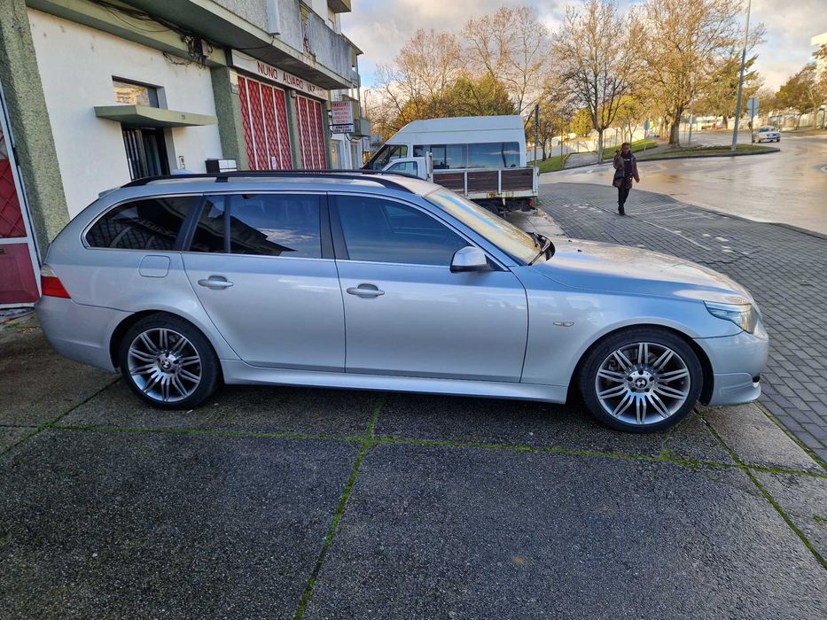 Procuro novo dono que me trate tão bem como este