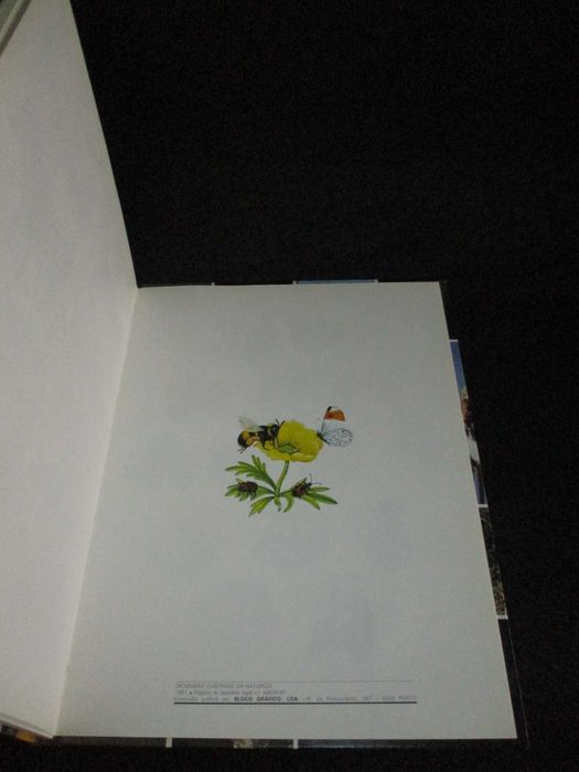 Livro Dicionário Ilustrado da Natureza Colin e Moira Maclean